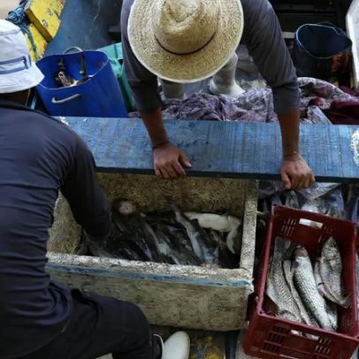 Pescadores beneficiados pelo Seguro-Defeso recebem 6º lote nesta terça