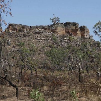 Pesquisa com IA aponta terras agrícolas abandonadas no Cerrado
