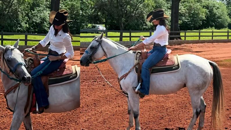 Ana Castela posa com cavalo em estilo de Boadeira — Foto: Reprodução/Instagram