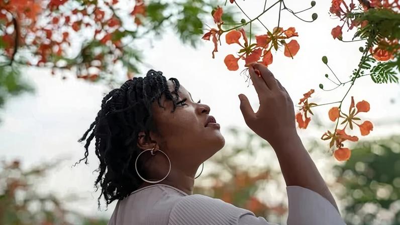 26 frases para celebrar o Dia Internacional da Mulher em 2026