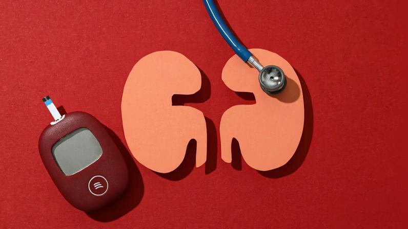 Diabetes e hipertensão arterial estão entre os principais fatores de risco para o desenvolvimento da doença renal crônica