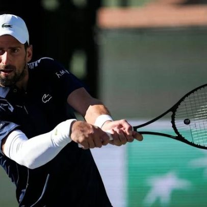 Djokovic celebra virada e persistência na partida