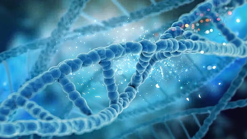Teste genéticos avaliam o DNA das células cancerúgenas — Foto: Freepik