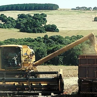 Holding rural e reforma tributária: impactos e perspectivas