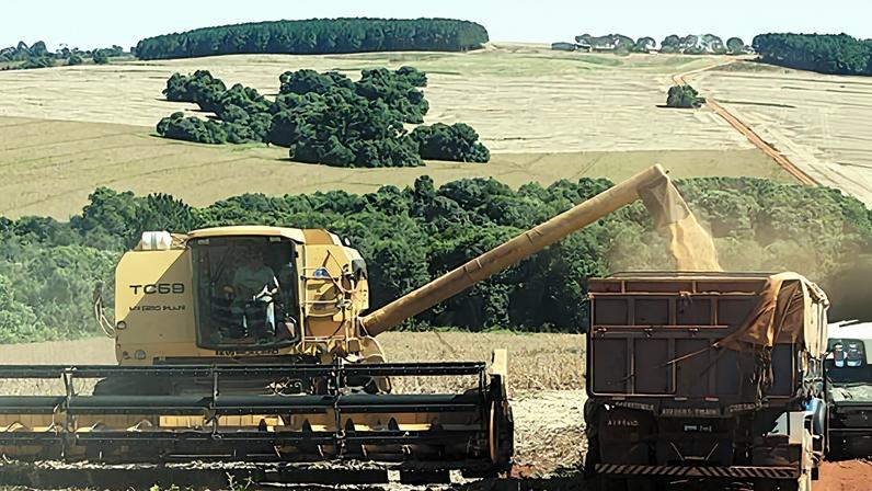 Holding rural pode servir como instrumento de governança e de perpetuação do patrimônio