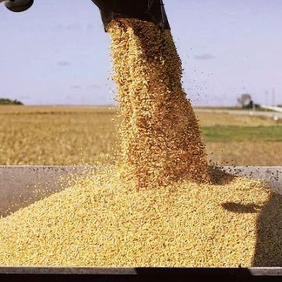 Tecnologias inovadoras transformam a agricultura no campo