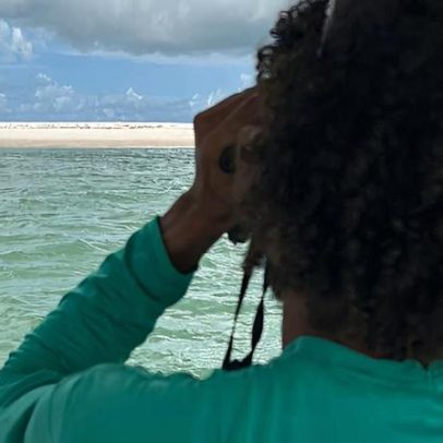 Elefante-marinho volta a ser visto no litoral de Alagoas