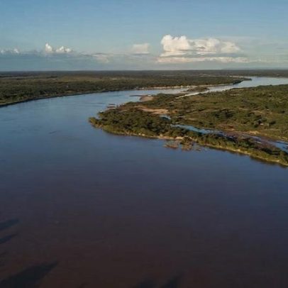 População de peixes migratórios de água doce cai 81% em 50 anos
