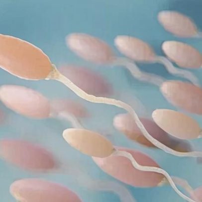 Espermograma pode sinalizar riscos à saúde além da fertilidade