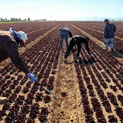 Conflito no Irã pode ampliar dificuldades para agricultores