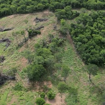 Fiscalização ambiental aplica mais de R$ 700 mil em multas no Norte de MG