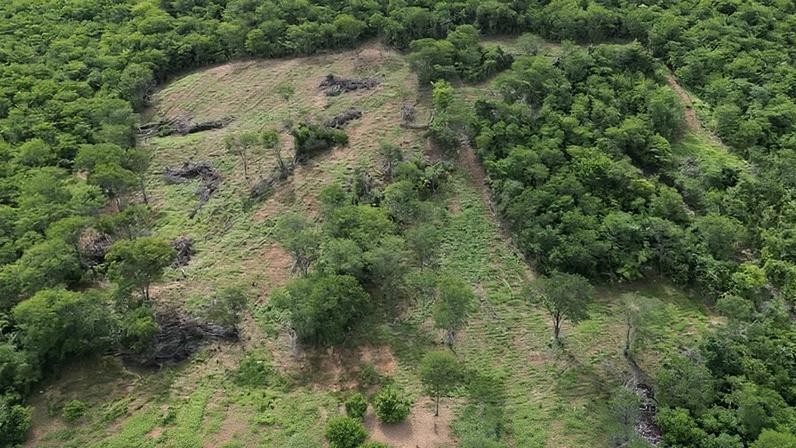 Fiscalização ambiental aplica mais de R$ 700 mil em multas para coibir desmatamentos ilegais no Norte de MG