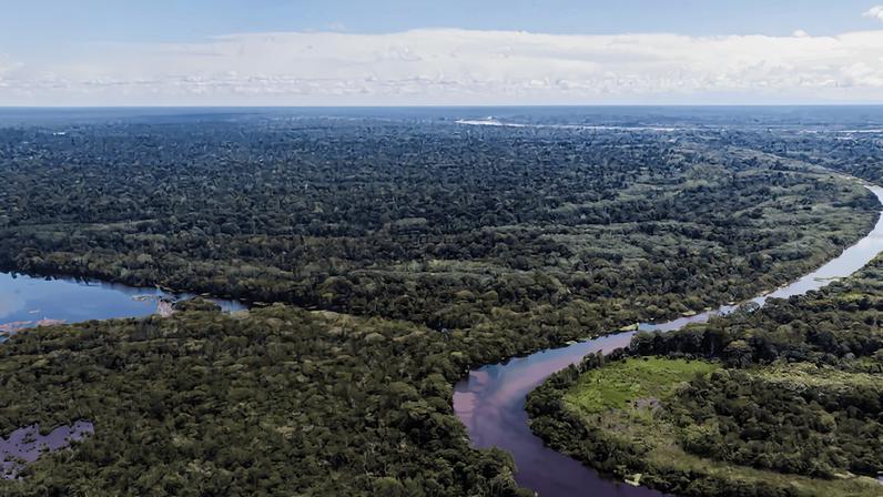 Rota biooceânica Peru-Brasil põe em risco a Amazônia, alertam especialistas