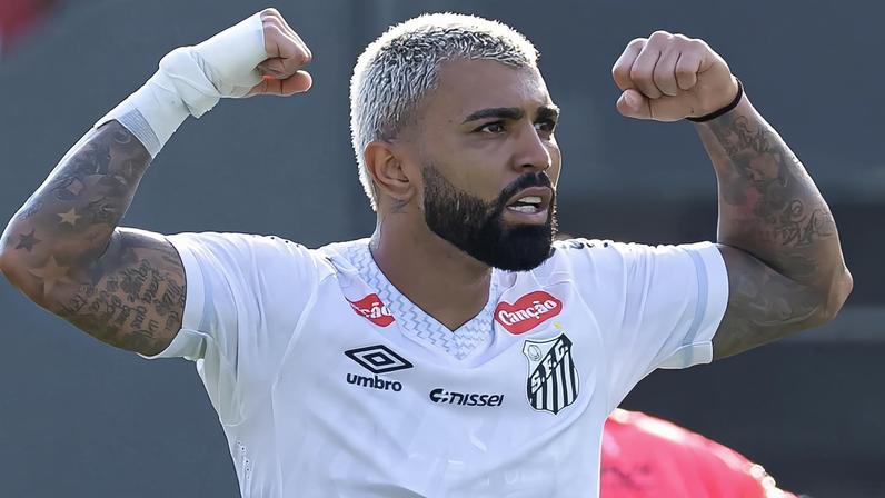 Gabigol comemora gol pelo Santos (Foto: Léo Barrilari/GazetaPress)