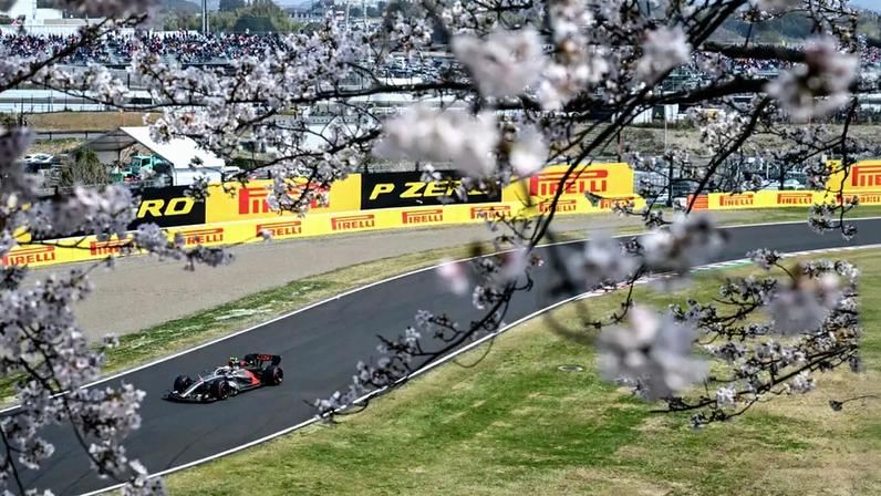 Gabriel Bortoleto, da Audi, no GP do Japão pela F1 2026 (Foto: ANDREW CABALLERO-REYNOLDS / AFP)