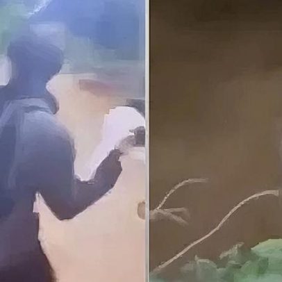 Adolescente é investigado após jogar gata em rio no interior de SP