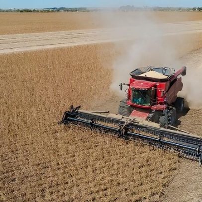 Agro impulsiona PIB de 2025 com 11,7% de crescimento, aponta IBGE