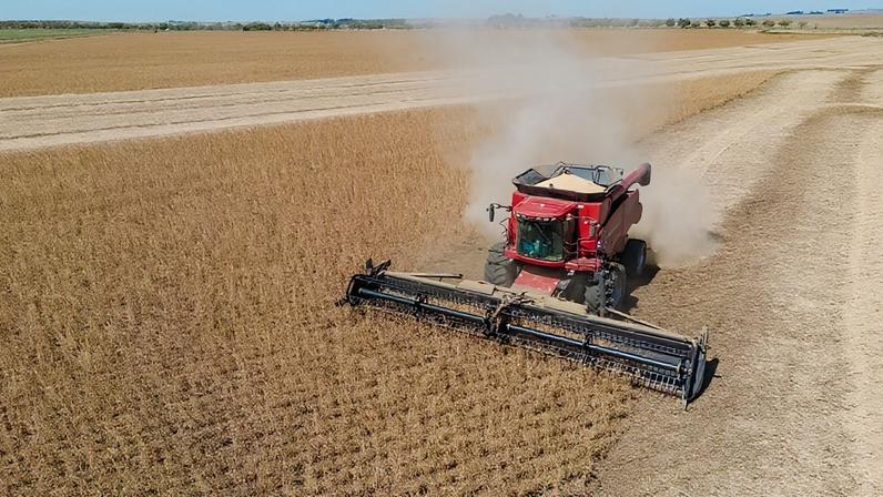 Agro Impulsiona PIB de 2025 com 11,7% de Crescimento, diz IBGE