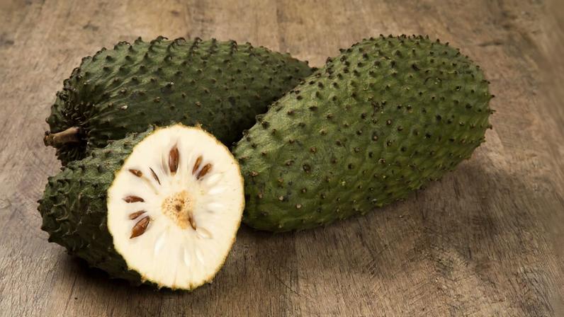 Graviola oferece benefícios à saúde e orientações de consumo