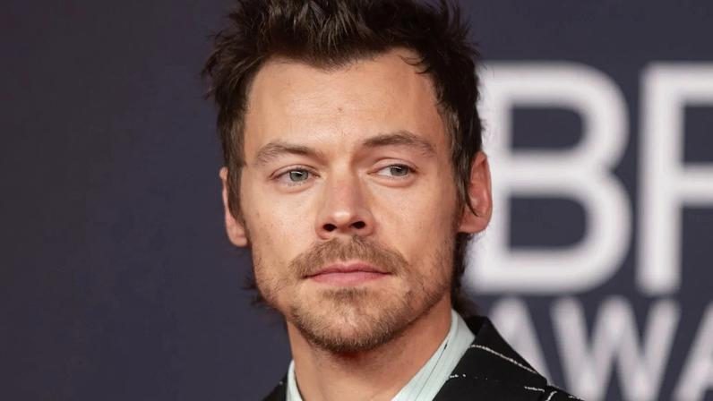 Harry Styles comenta a morte de Liam Payne: é difícil perder um amigo tão parecido