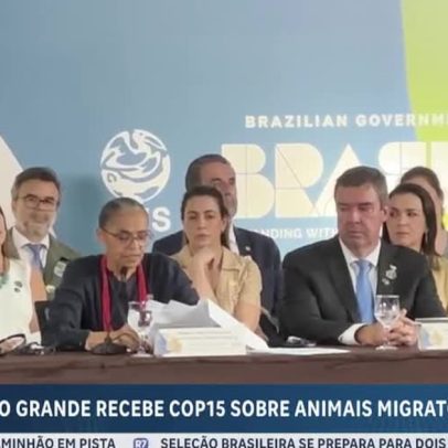Brasil sedia COP 15 pela primeira vez para proteger espécies migratórias