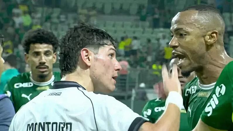 Marlon Freitas, do Palmeiras, se envolveu em confusão com jogadores do Botafogo (Foto: Reprodução/sportv)