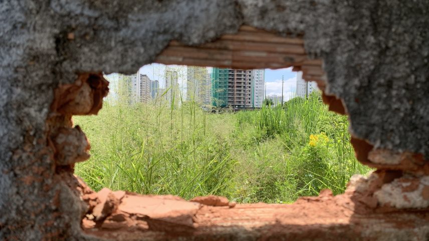 Situação de abandono do antigo Godofredo Cruz: pelo buraco, é possível ver o tamanho do matagal no interior do terreno — Foto: Tébaro Schmidt / ge