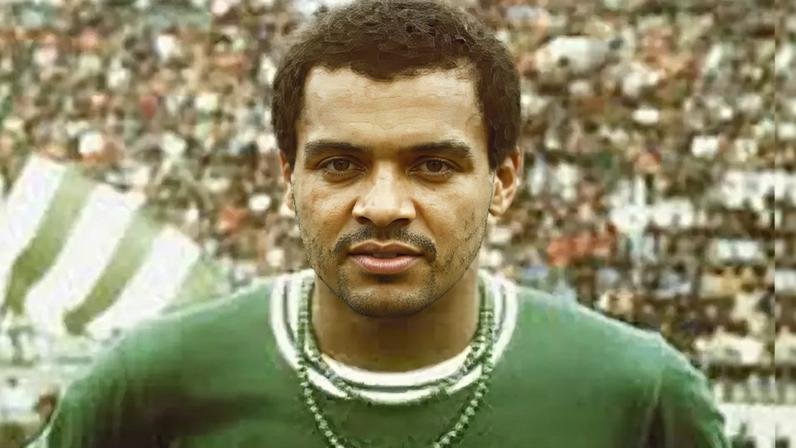 Luís Pereira no Palmeiras: jogos, gols e estatísticas