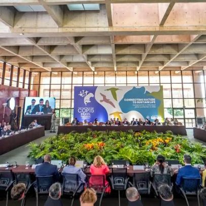 COP15 aprova maior proteção para bagres gigantes da Amazônia e ariranhas