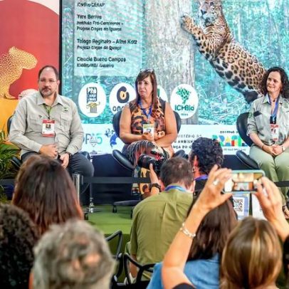 COP15: povos tradicionais reivindicam reconhecimento de saberes ancestrais