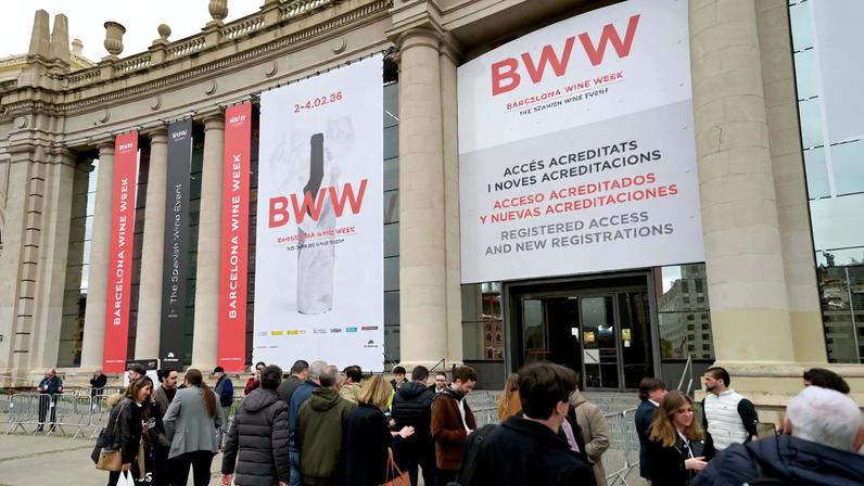 Sunlight streamed into the halls of Fira de Barcelona from 2–4 February as Barcelona Wine Week (BWW) closed its sixth edition on a high.