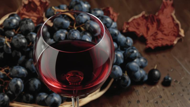This year's Merlot Masters brought plenty of medals, but it was only at the upper end of the price ladder that wines really shone, reports Siobhan Turner MW.
