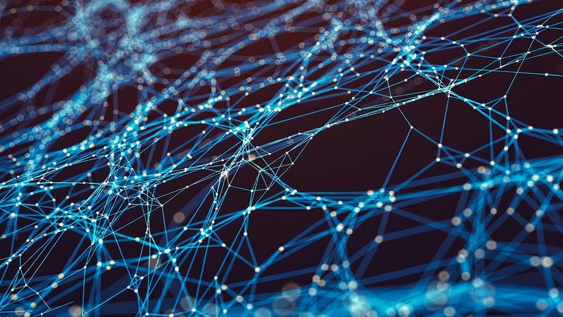 MIT research suggests that the brain learns with surprising precision, sending targeted feedback to individual neurons so each one can adjust its activity in the right direction.
