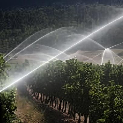 Bebedor ético: consumo responsável e impactos sociais