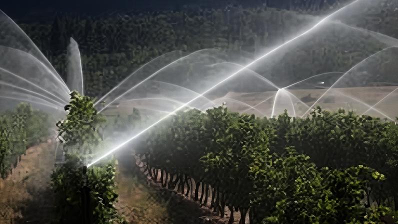 The ethical drinker: Inside the debate on wine and water use