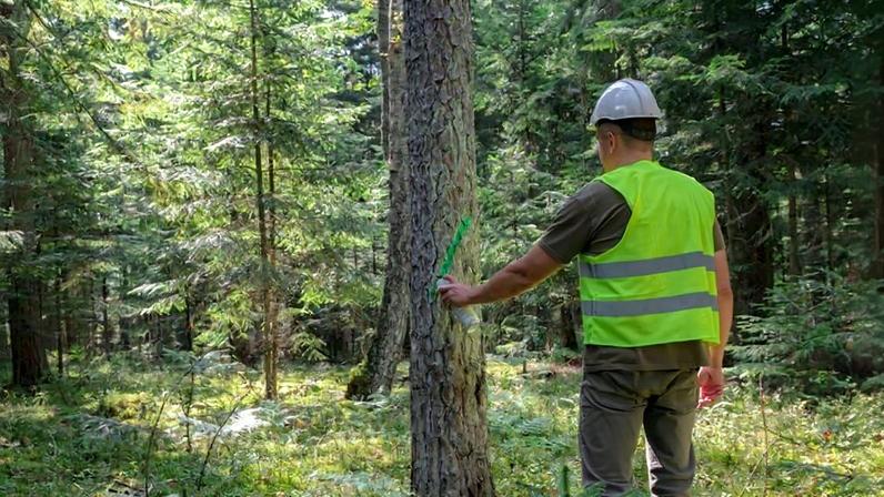 IKEA flatpack. Image by IKEA.com.