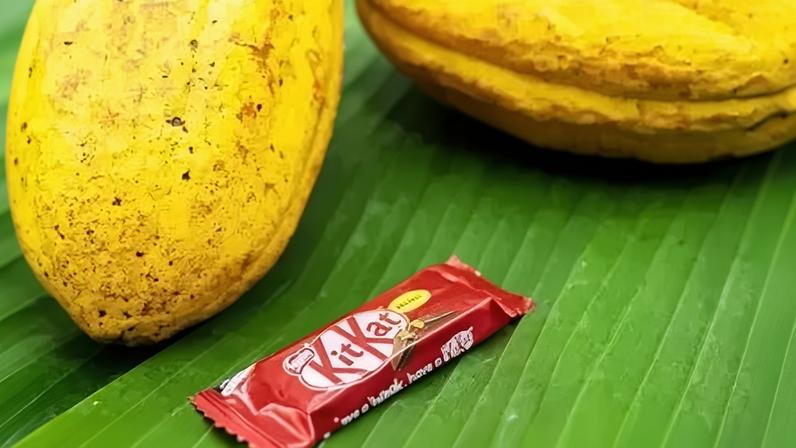 O equivalente a 414 mil unidades de KitKat foram furtados durante transporte de estoque