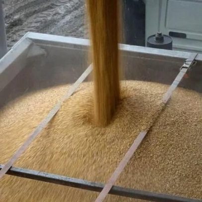 EUA reduzem plantio de milho e Irã eleva preços de fertilizantes