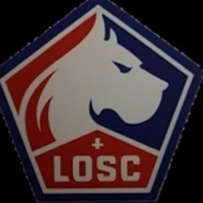 Lille x Le Havre ao vivo pela Ligue 1 2025/26