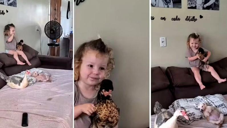 Bia assistindo televisão com os "amigos". Repare no travesseiro que ela ajeitou para acomodar a cadelinha! — Foto: Reprodução/ Instagram