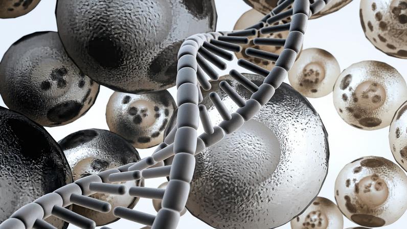 Medicina exige rigor na avaliação da formação profissional