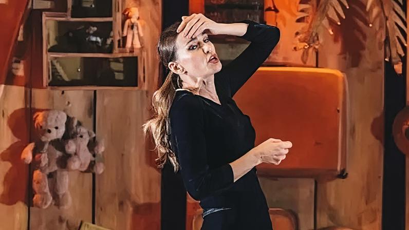Monica Martelli estrela a peça "Minha Vida em Marte"