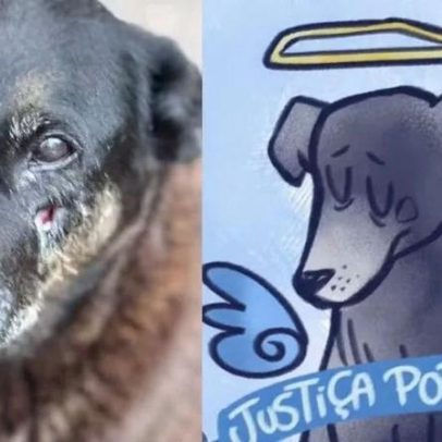 Governo Lula anuncia decreto que endurece multas por maus-tratos a animais