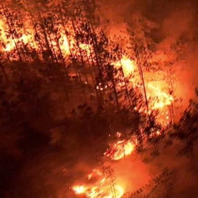 Incêndios em charneiras são tratados como suspeitos