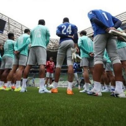 Fifa certifica novo gramado do Allianz Parque e libera uso