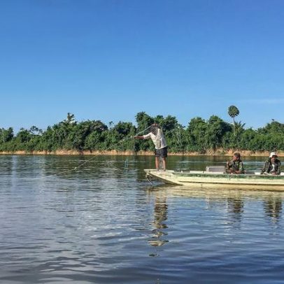 Peixes migratórios de água doce entre os mais ameaçados do mundo