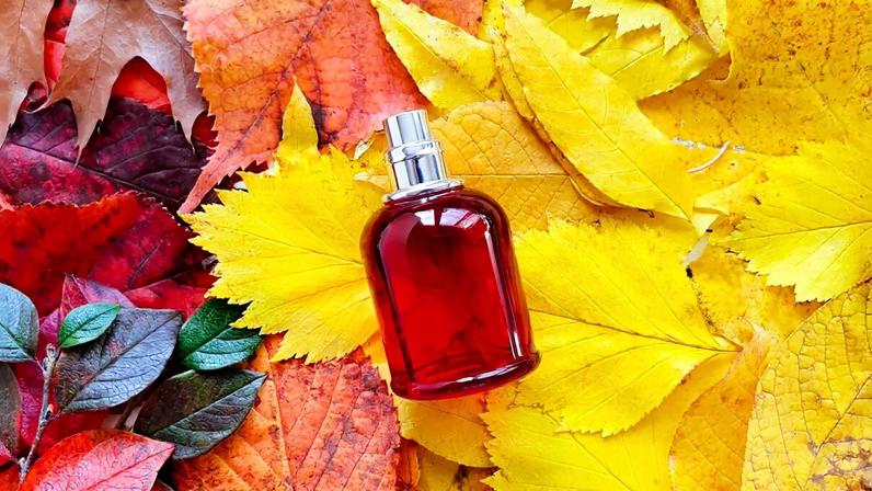 Perfumes mais intensos ganham espaço com a chegada do outono