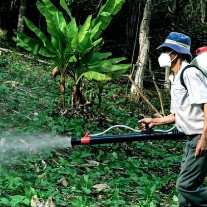 Países não chegam a metas da ONU para reduzir riscos de pesticidas até 2030