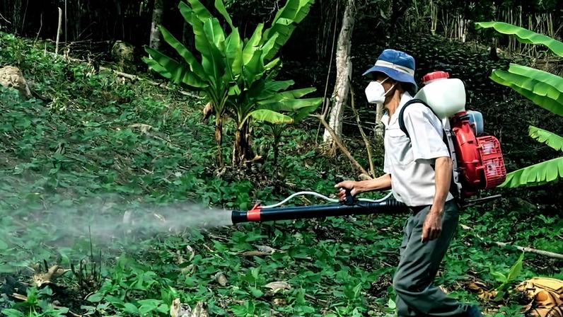 Man spraying pesticides in woods. Image by Gilmer Diaz Estela via Pexels.