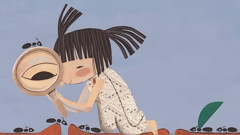 Por dentro e por fora: miolo 12-13